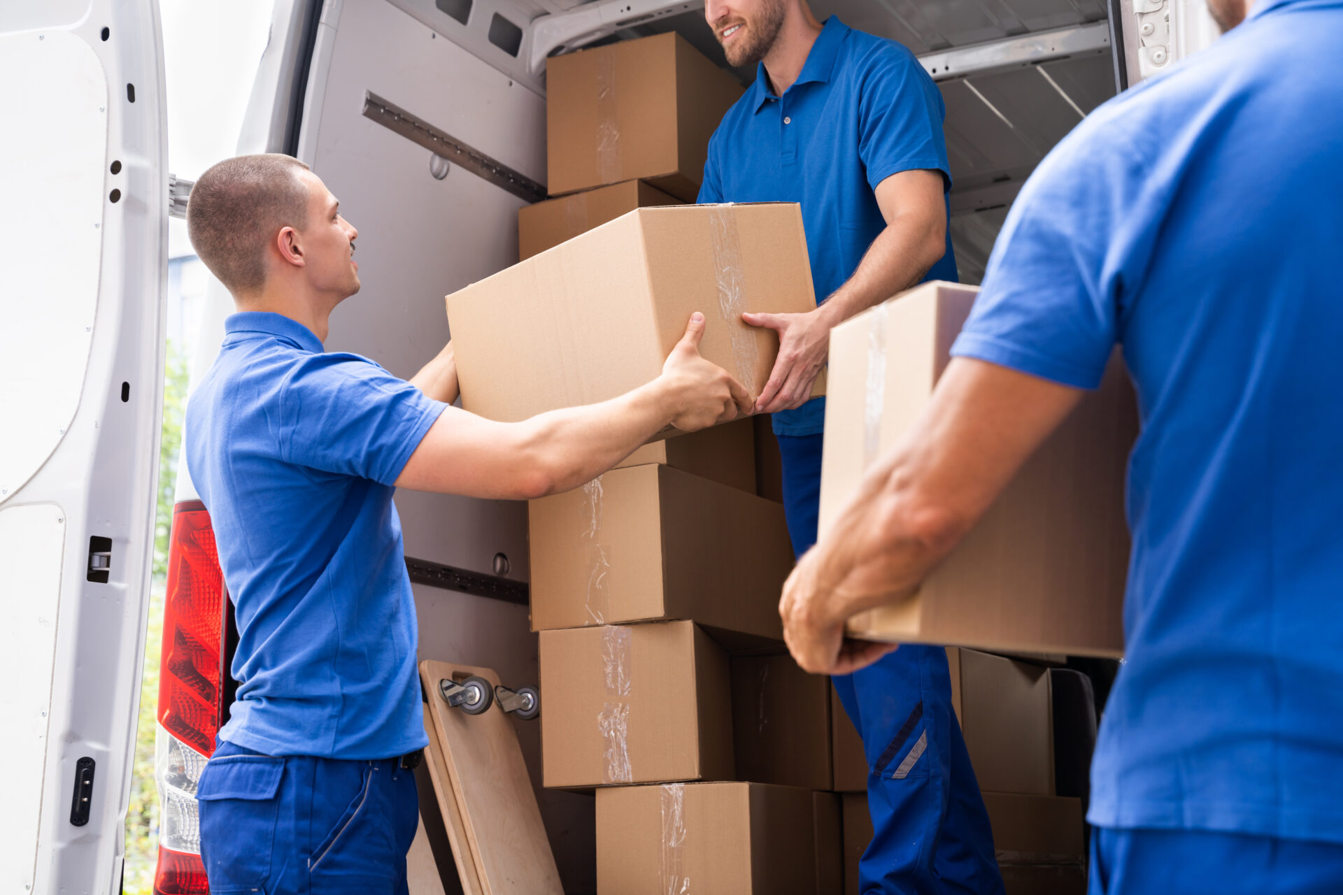 Alberta packing services from Mover Guys