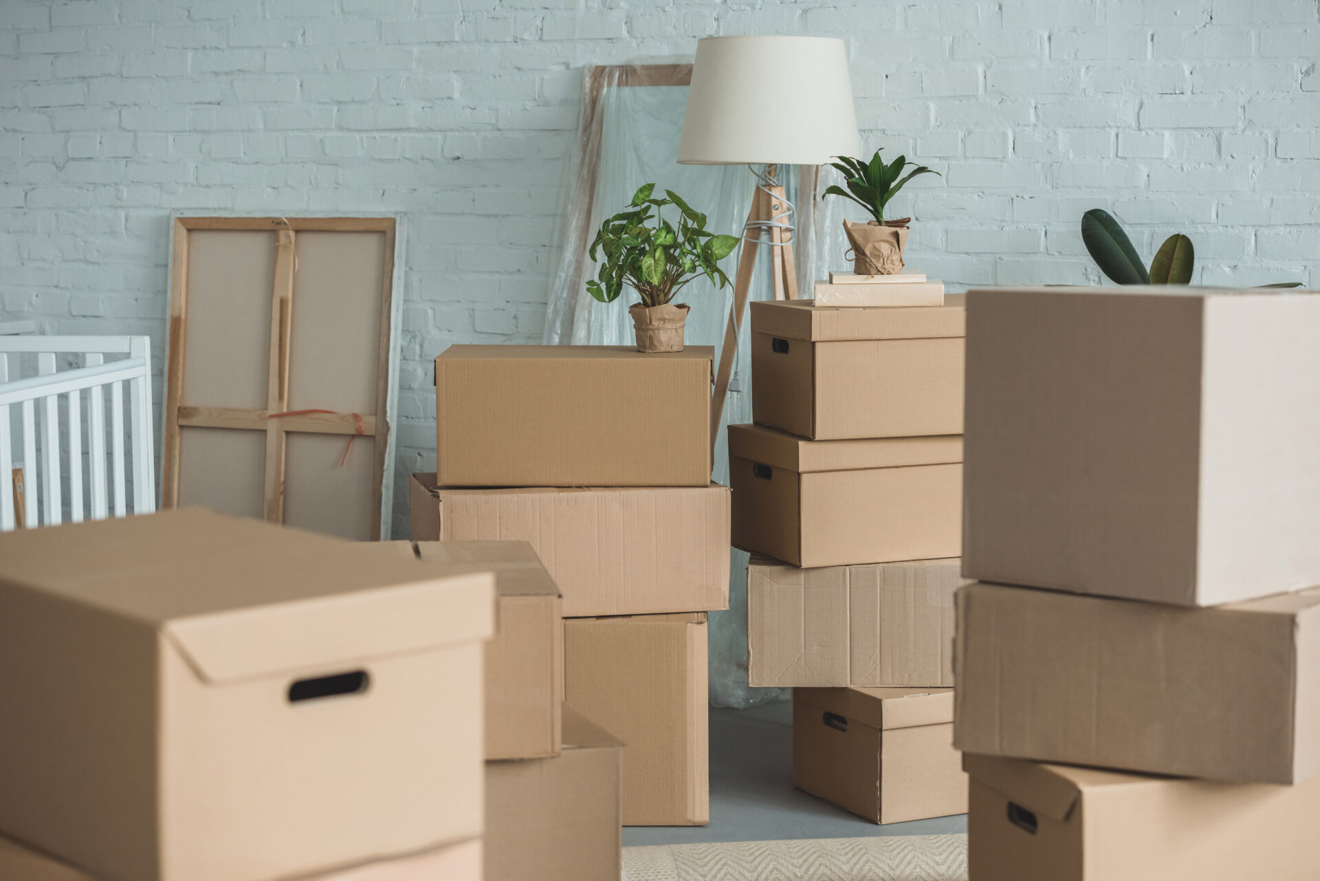 Packing services for businesses, Mover Guys, Edmonton, Alberta