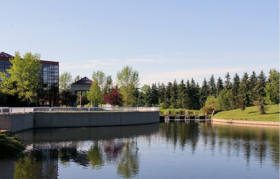 Leduc movers for residential and commercial needs
